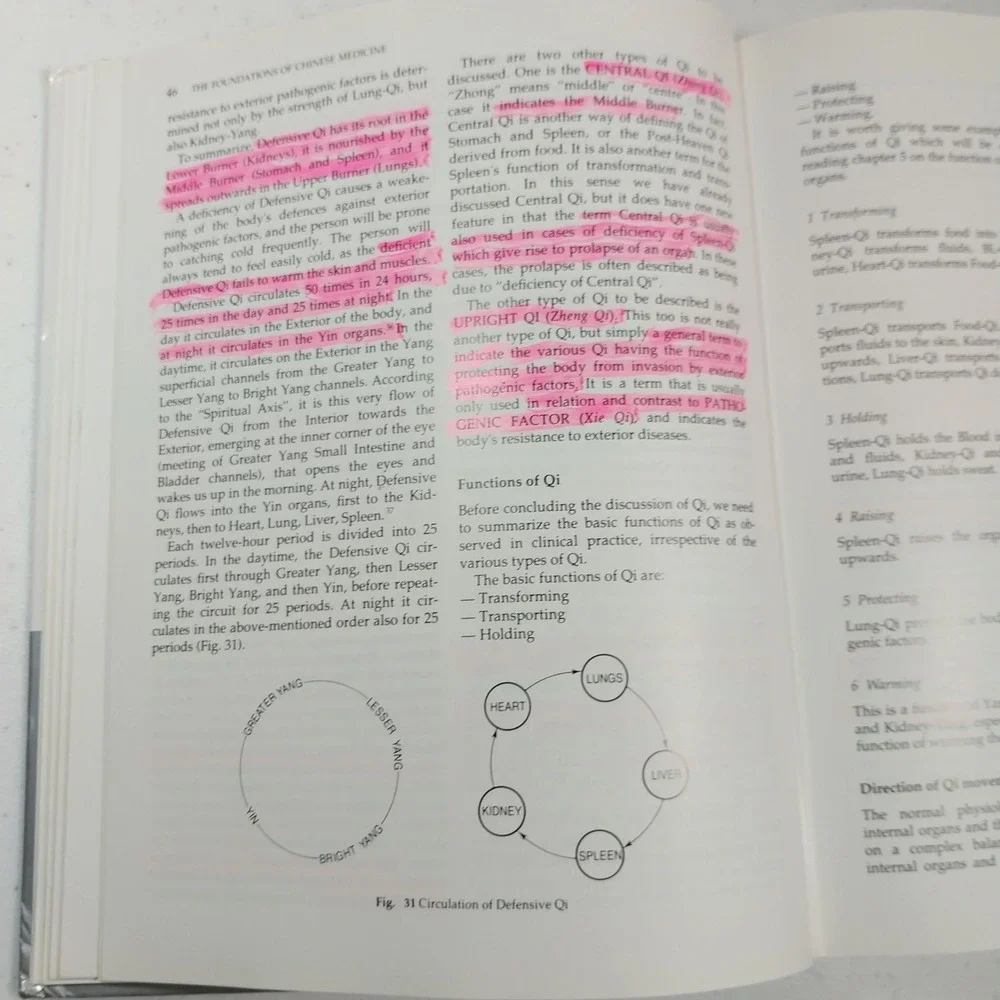 The Foundations of Chinese Medicine: A Comprehensive Text For Acupuncturist Herb